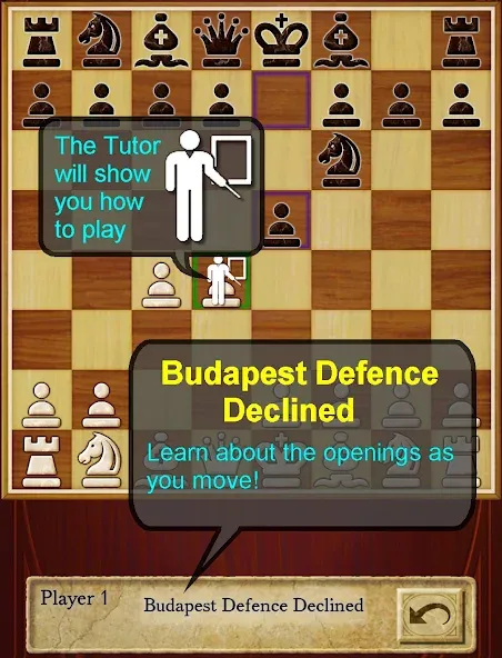 Chess — последняя версия с модом (Открыты все фигуры и режимы) — скриншот 3 Chess — последняя версия с модом (Открыты все фигуры и режимы) — скриншот 3